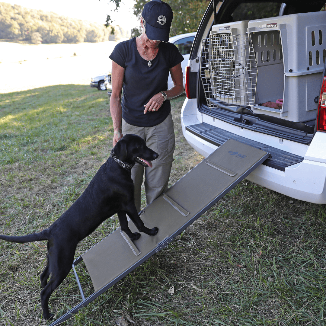 asd dog ramp