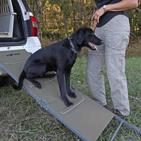 hunting dog ramp