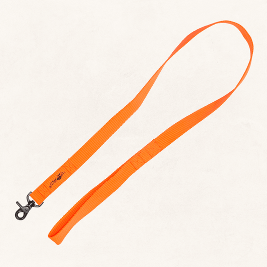 Standard Leash