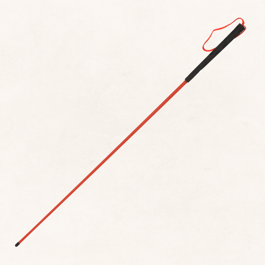 Trainer's Heeling Stick
