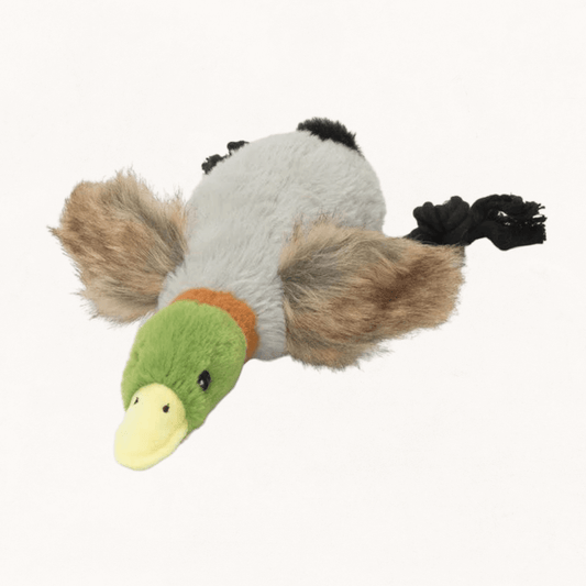 duck retriever dog toy